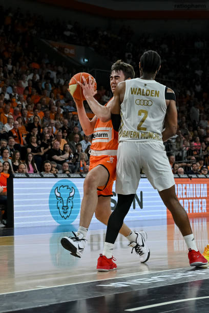 网阵容中的 网阵容中的